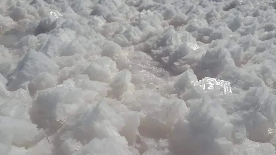 Egyptian salt factory, Egyptian salt producer, Salt refinery from Egypt ,Sea salt , Rock salt , Colored speckles for detergent ,Top salt producer , Salt mining ,Egyptian salt supplier